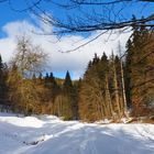 Schneespaziergang im Vessertal