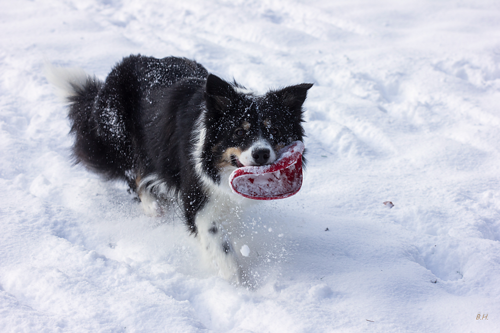 Schneespiele