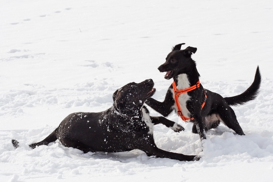 Schneespiele