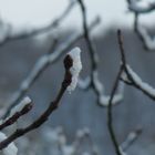 Schneespitze - Erster Schnee im bergischen Land