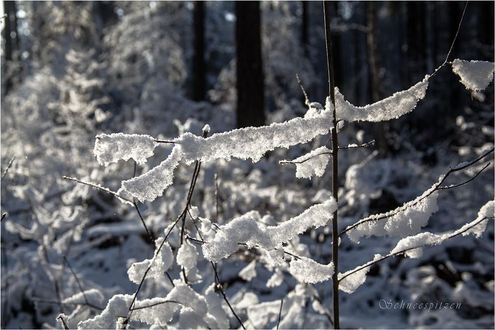 Schneespitzen