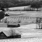 Schneespuren