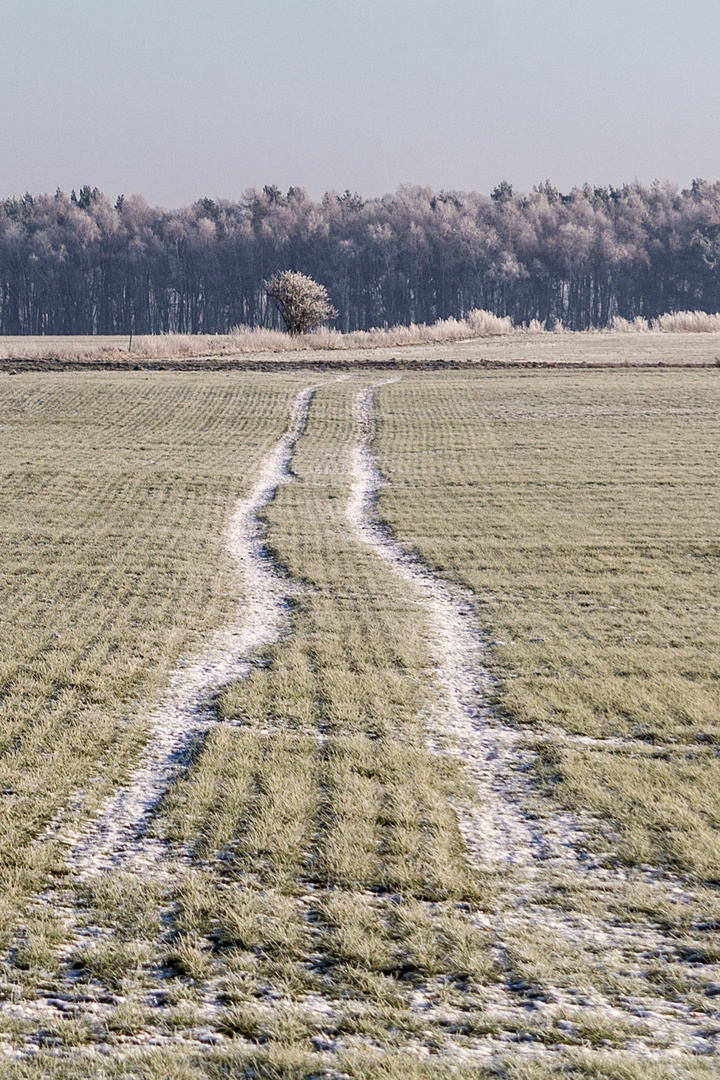 Schneespuren