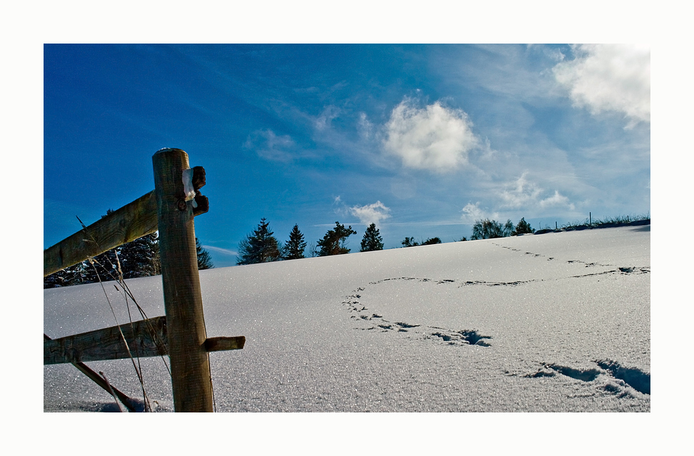 Schneespuren