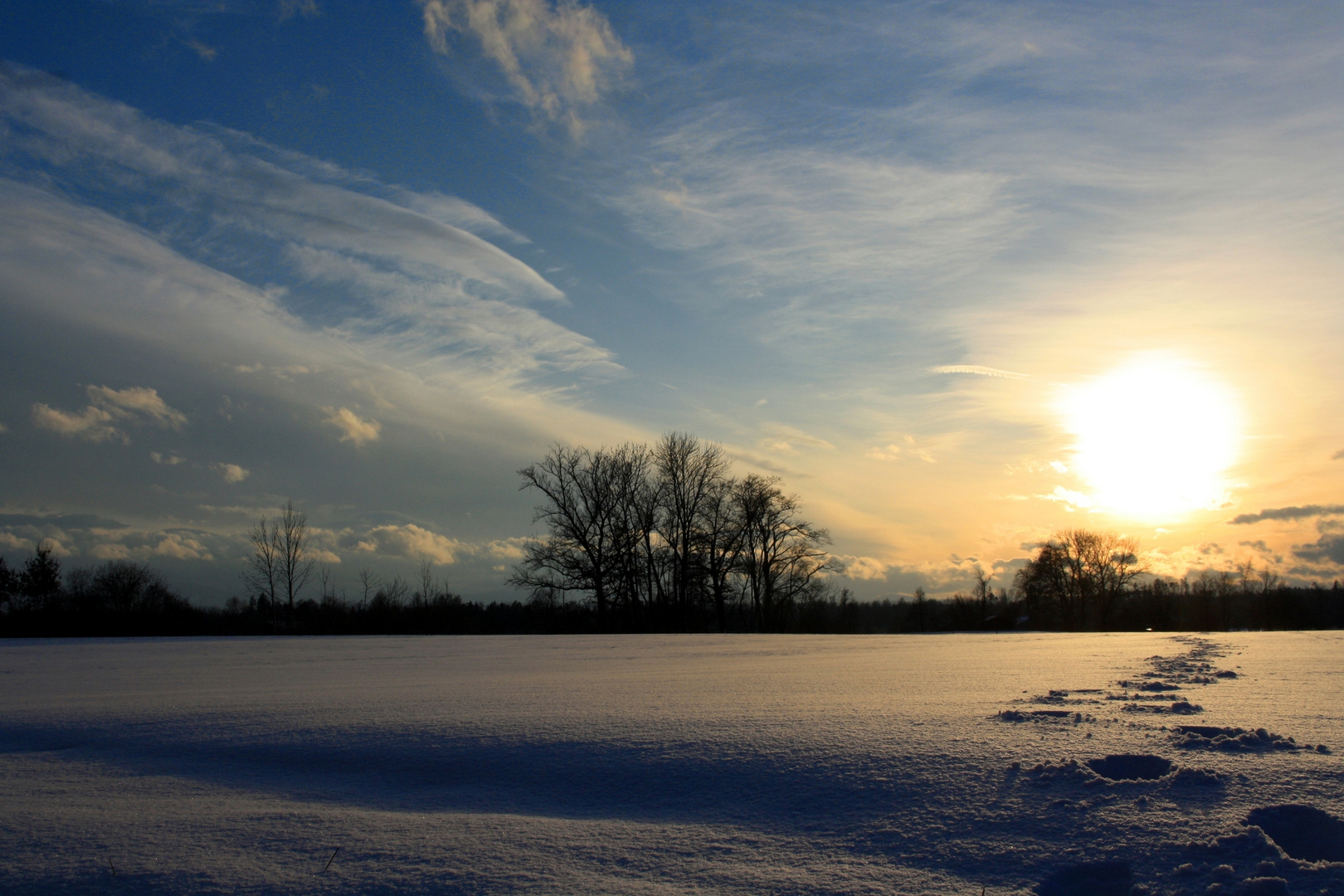 Schneespuren.