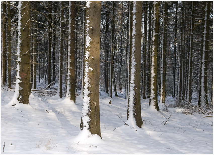 Schneespuren