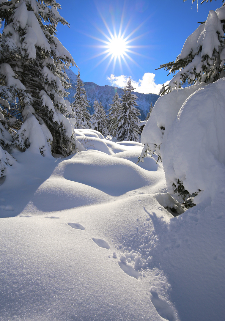 Schneespuren , Golzern , Maderanertal