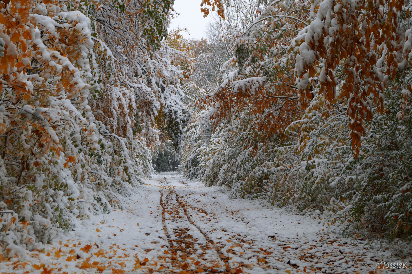 Schneespuren im Herbst