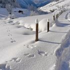 Schneespuren in Golzern