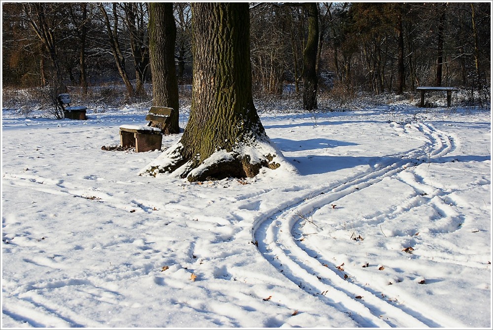 Schneespuren (Winterimpressionen 3)