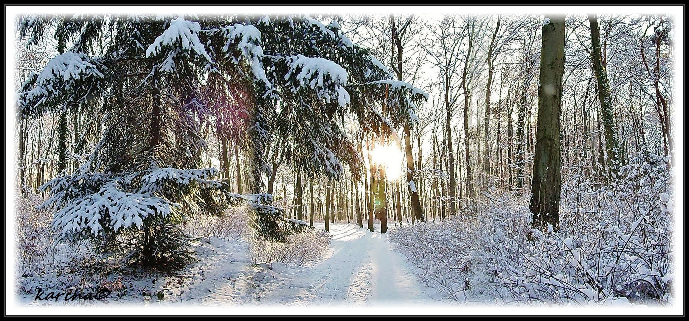 Schneestadtwäldchen