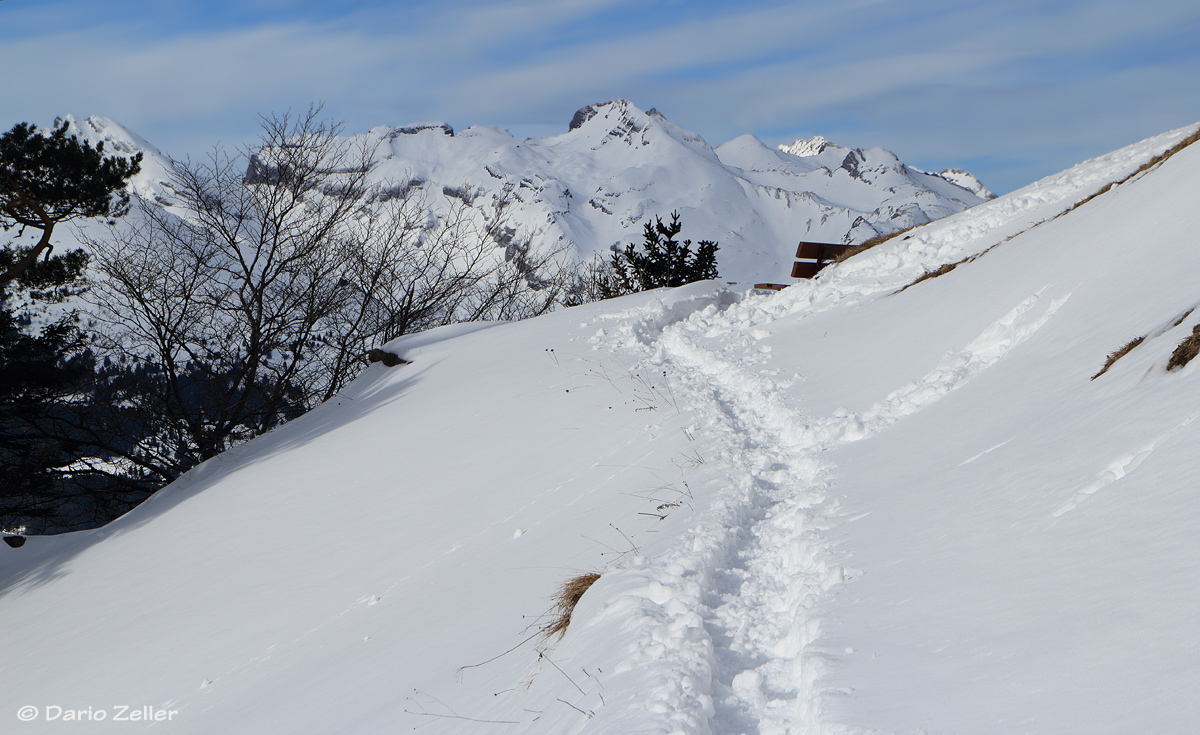 Schneestampfen