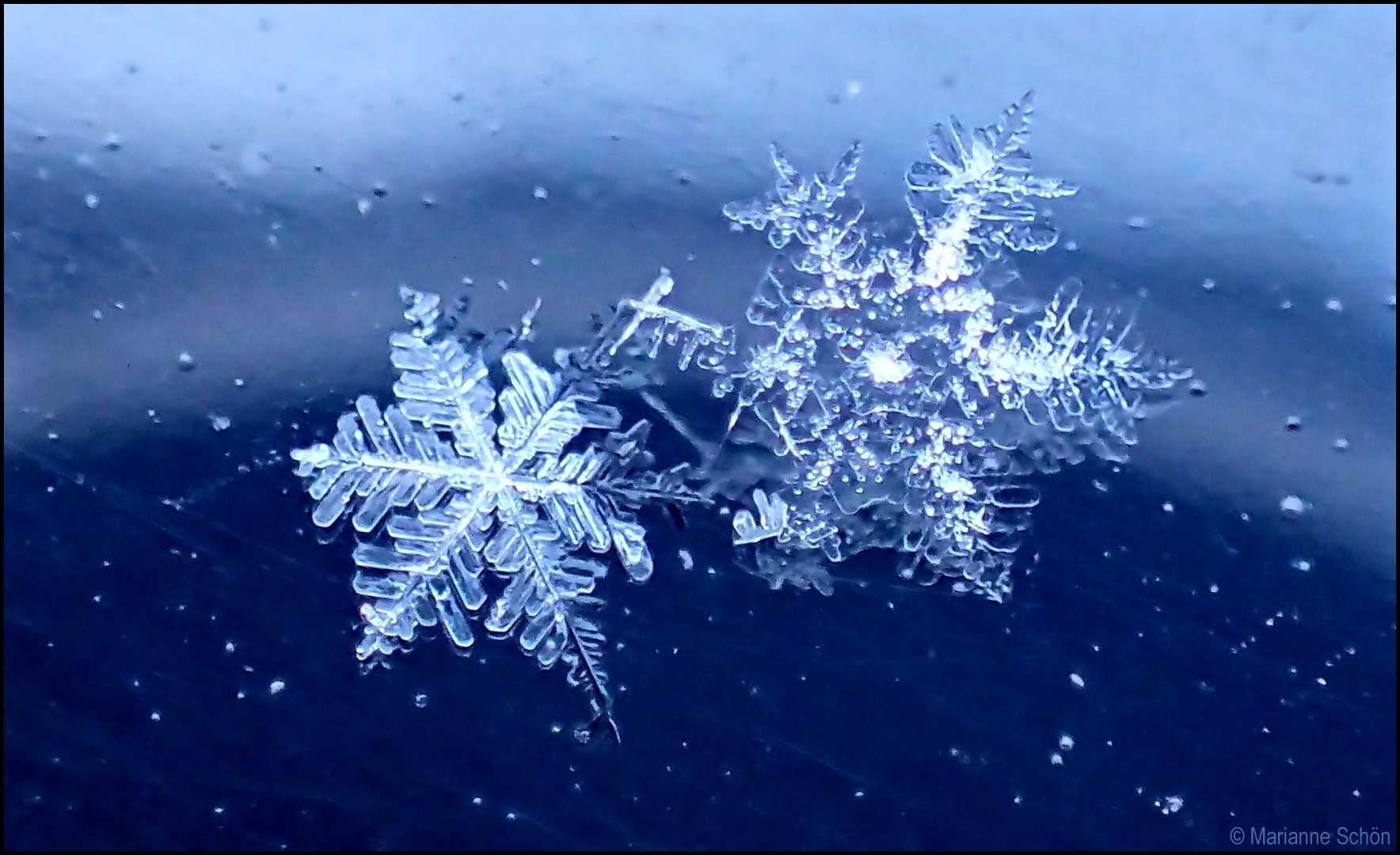 Schneesterne... Foto & Bild | januar, winter, schnee Bilder auf