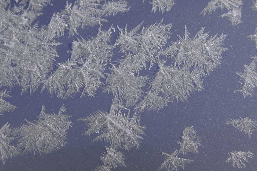 Schneesterne Foto & Bild sonstiges, wasser im detail, natur Bilder