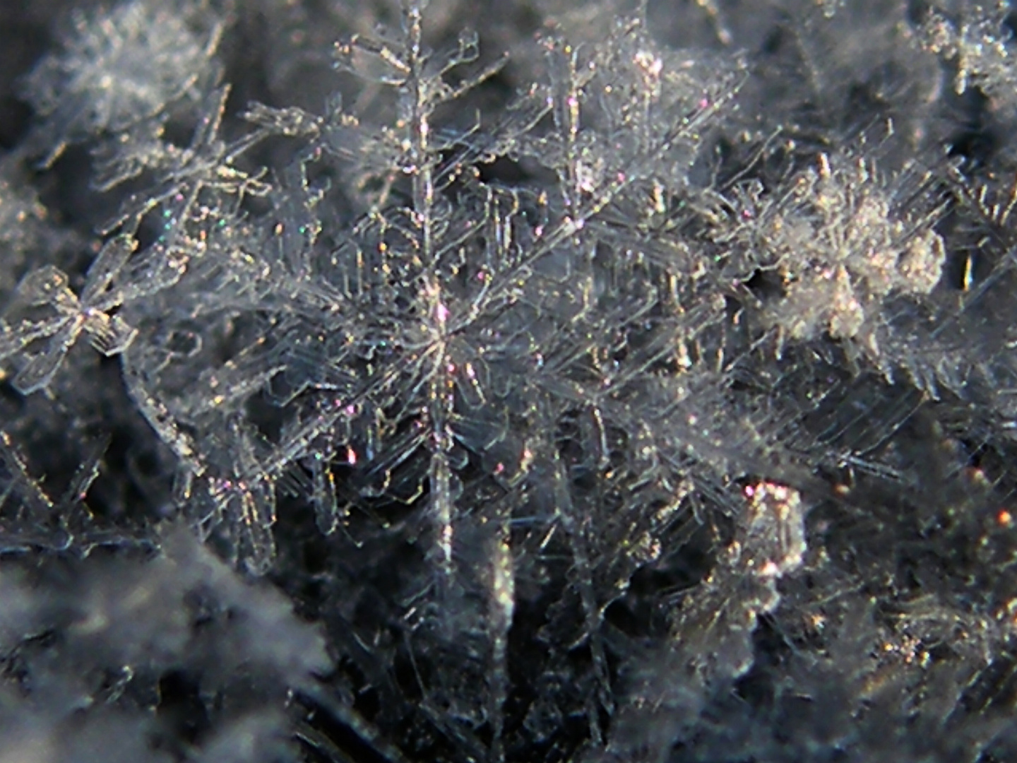 Schneesterne Eiskristalle. Foto & Bild | emotionen, staunen