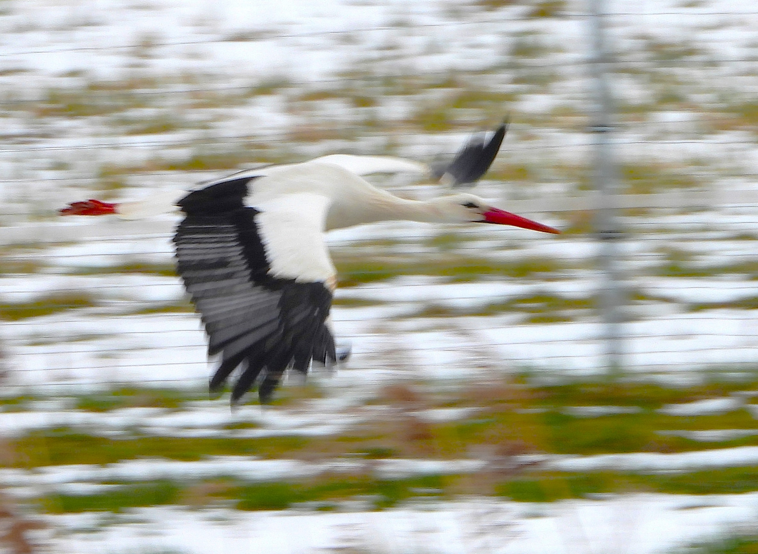 Schneestorch