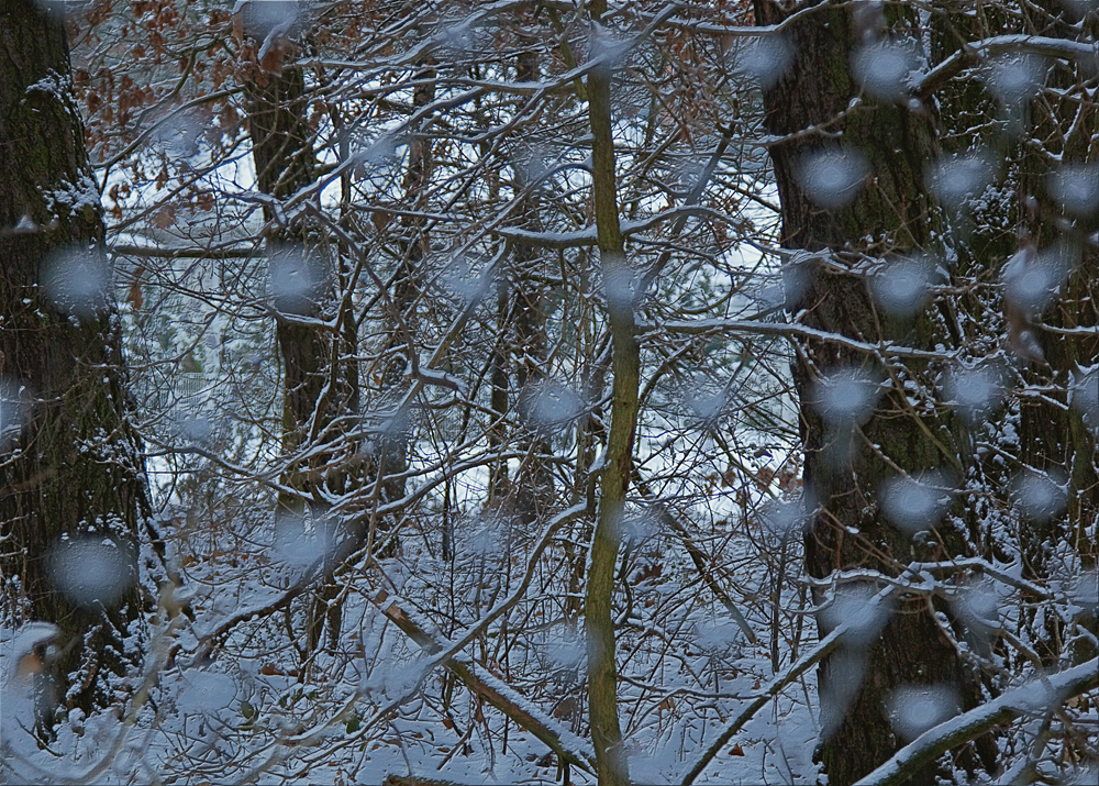 Schneestruktur