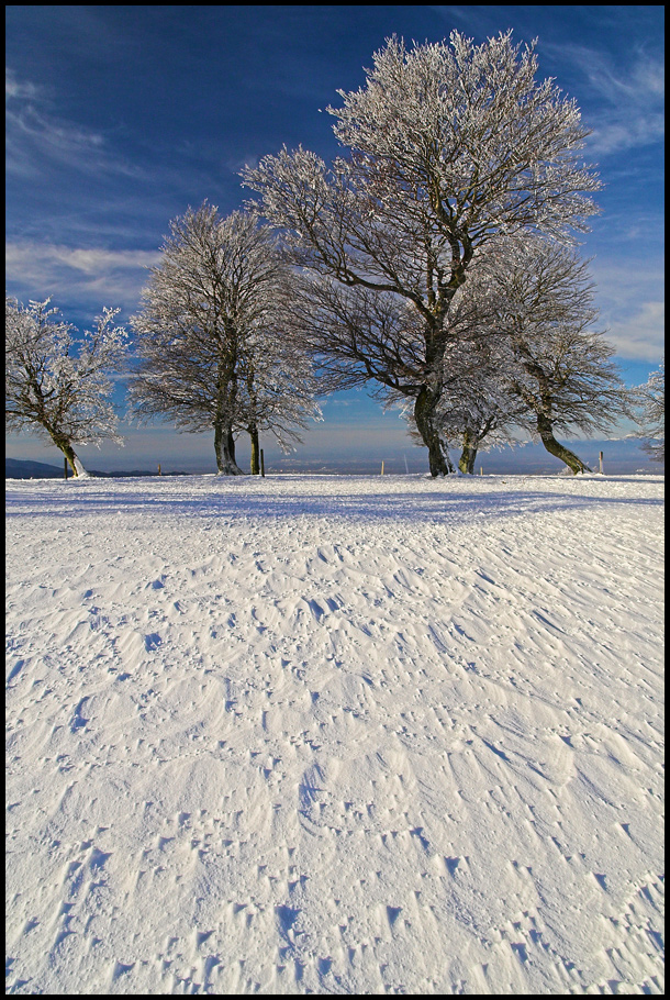 Schneestrukturen