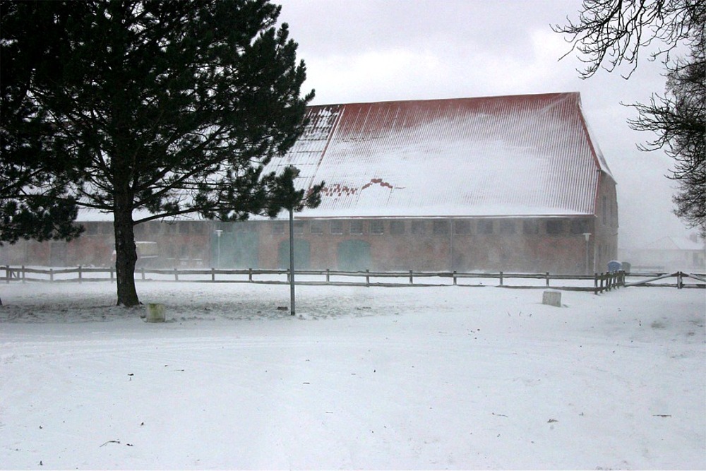 Schneesturm 04