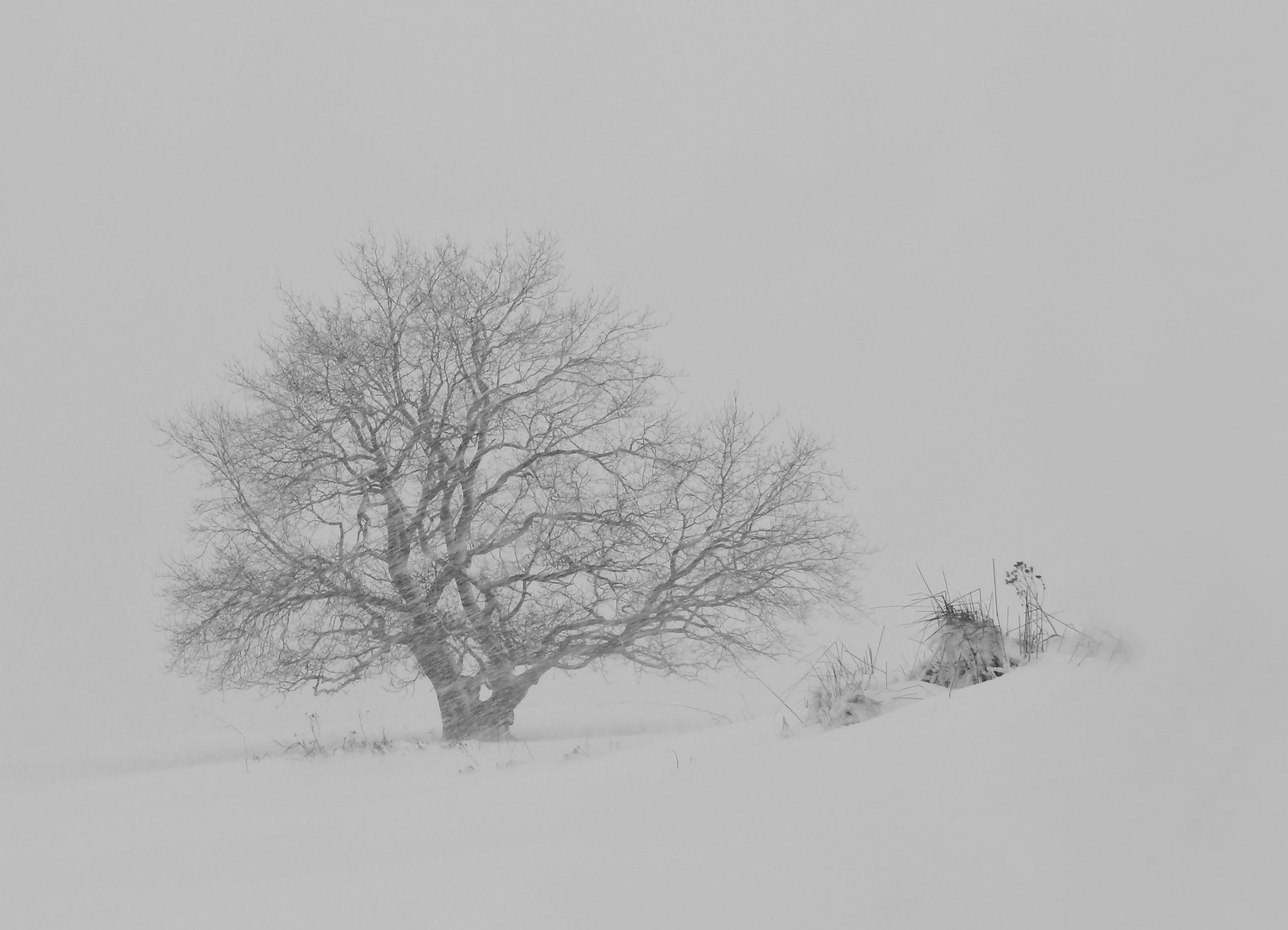 Schneesturm