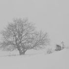 Schneesturm