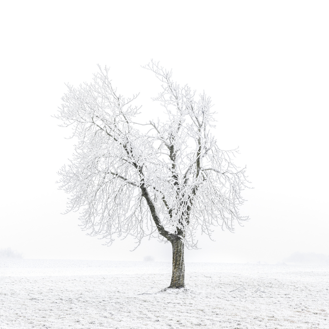 Schneesturm