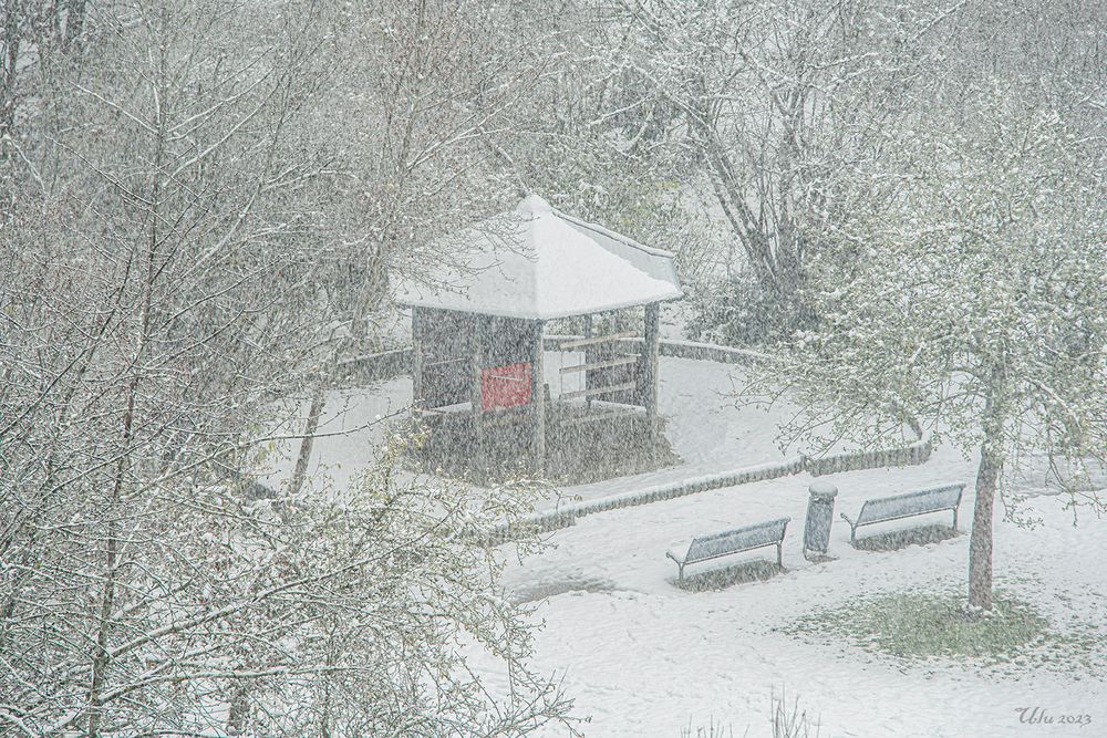 Schneesturm