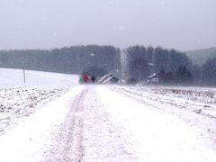 Schneesturm