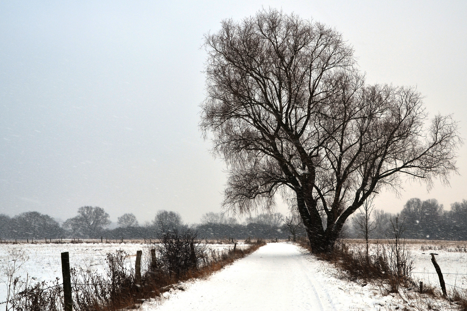 Schneesturm