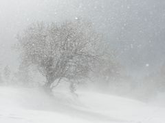 Schneesturm