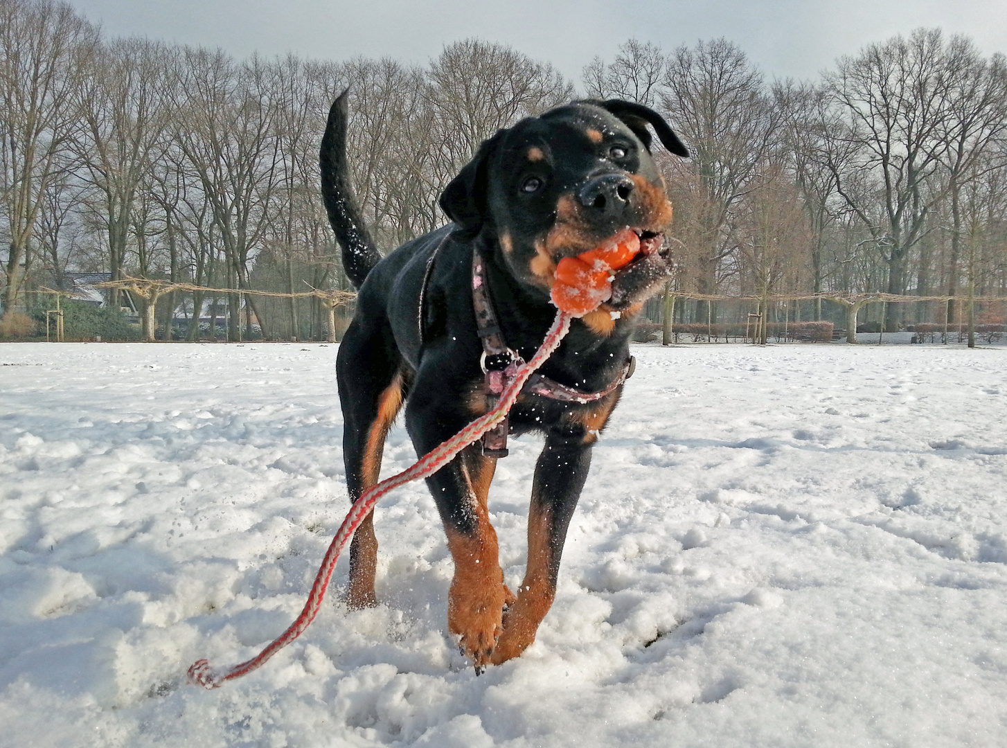 Schneesturm :-)