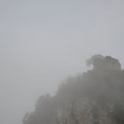 Schneesturm am Falkenstein