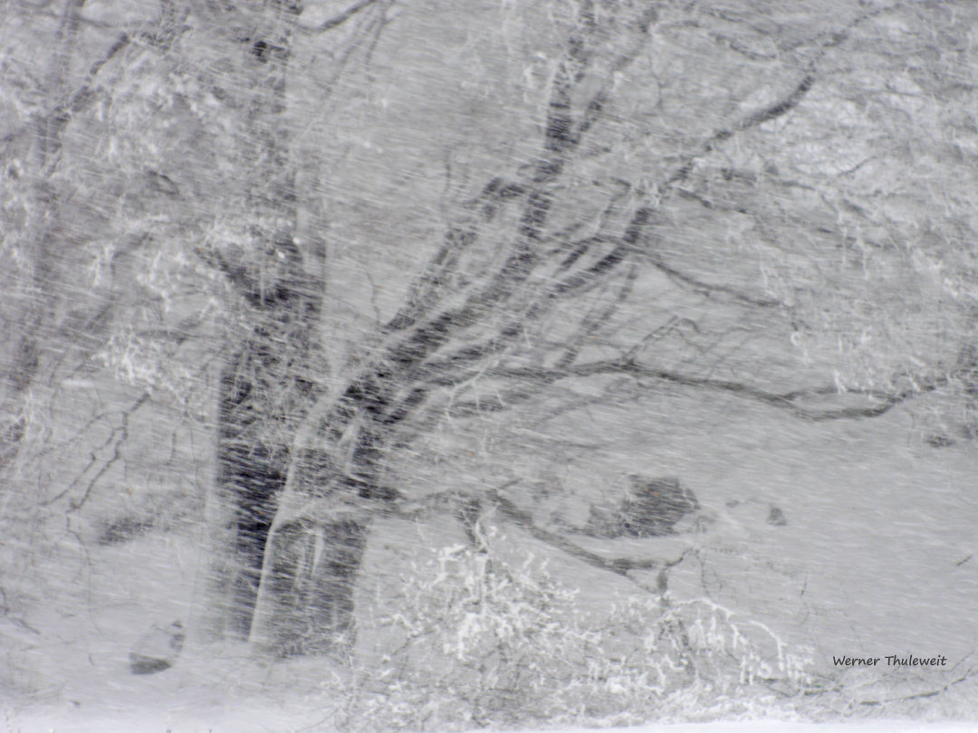 Schneesturm am Knüll