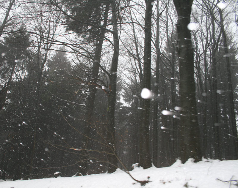 Schneesturm auf dem Inselsberg2