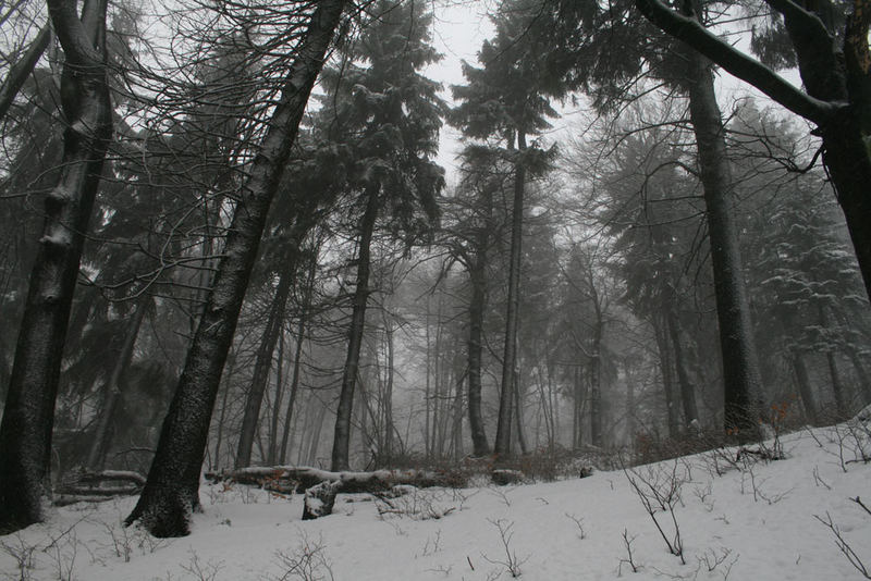 Schneesturm auf dem Inselsberg3