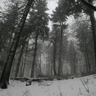 Schneesturm auf dem Inselsberg3