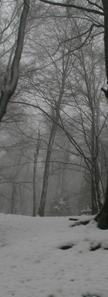 Schneesturm auf dem Inselsberg4