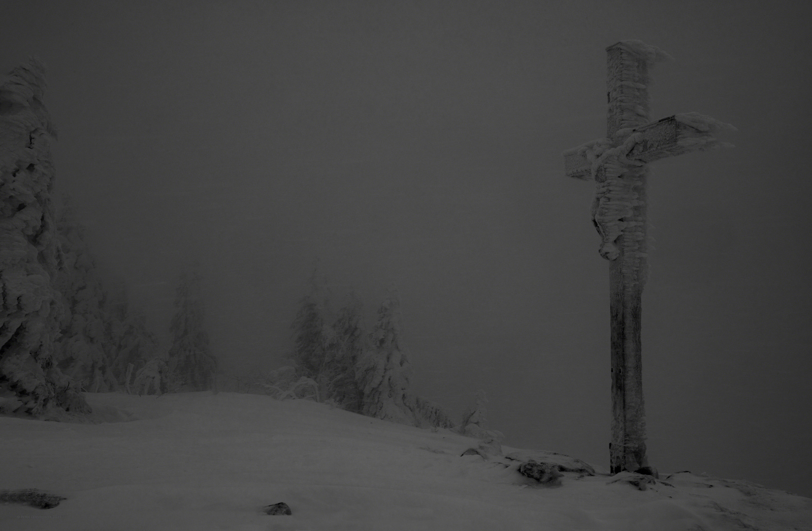 Schneesturm auf dem Lusen....