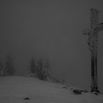 Schneesturm auf dem Lusen....