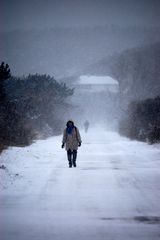 Schneesturm auf der Insel Hiddensee