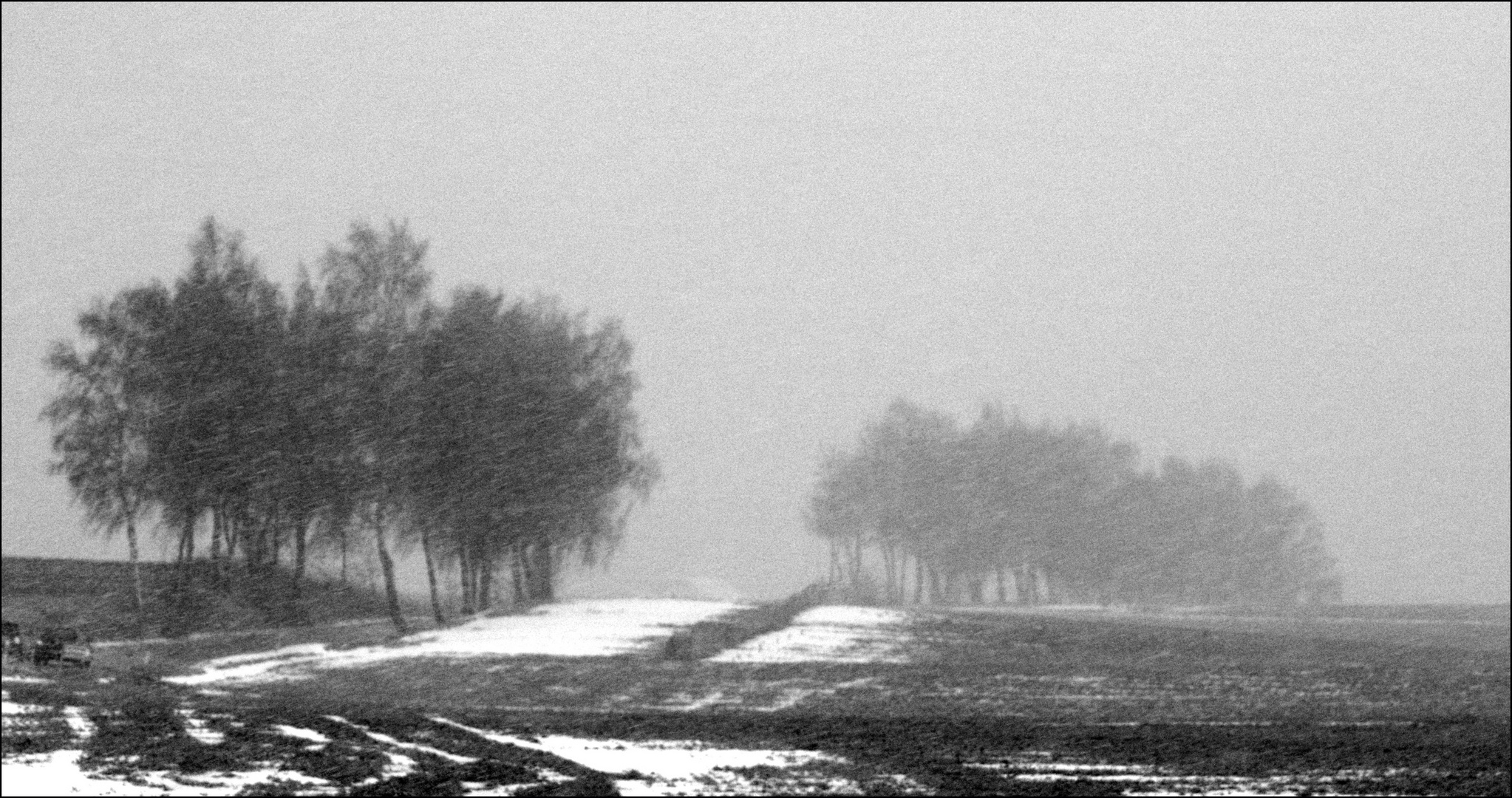 Schneesturm