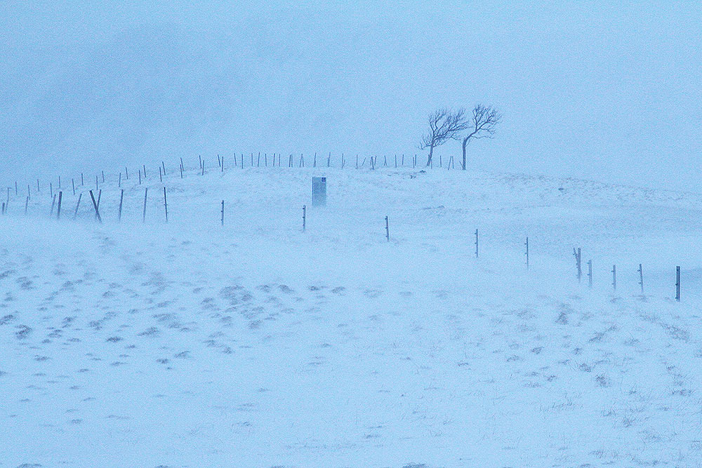 Schneesturm