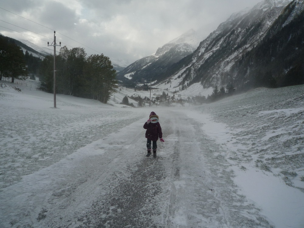 Schneesturm im Herbst