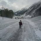 Schneesturm im Herbst