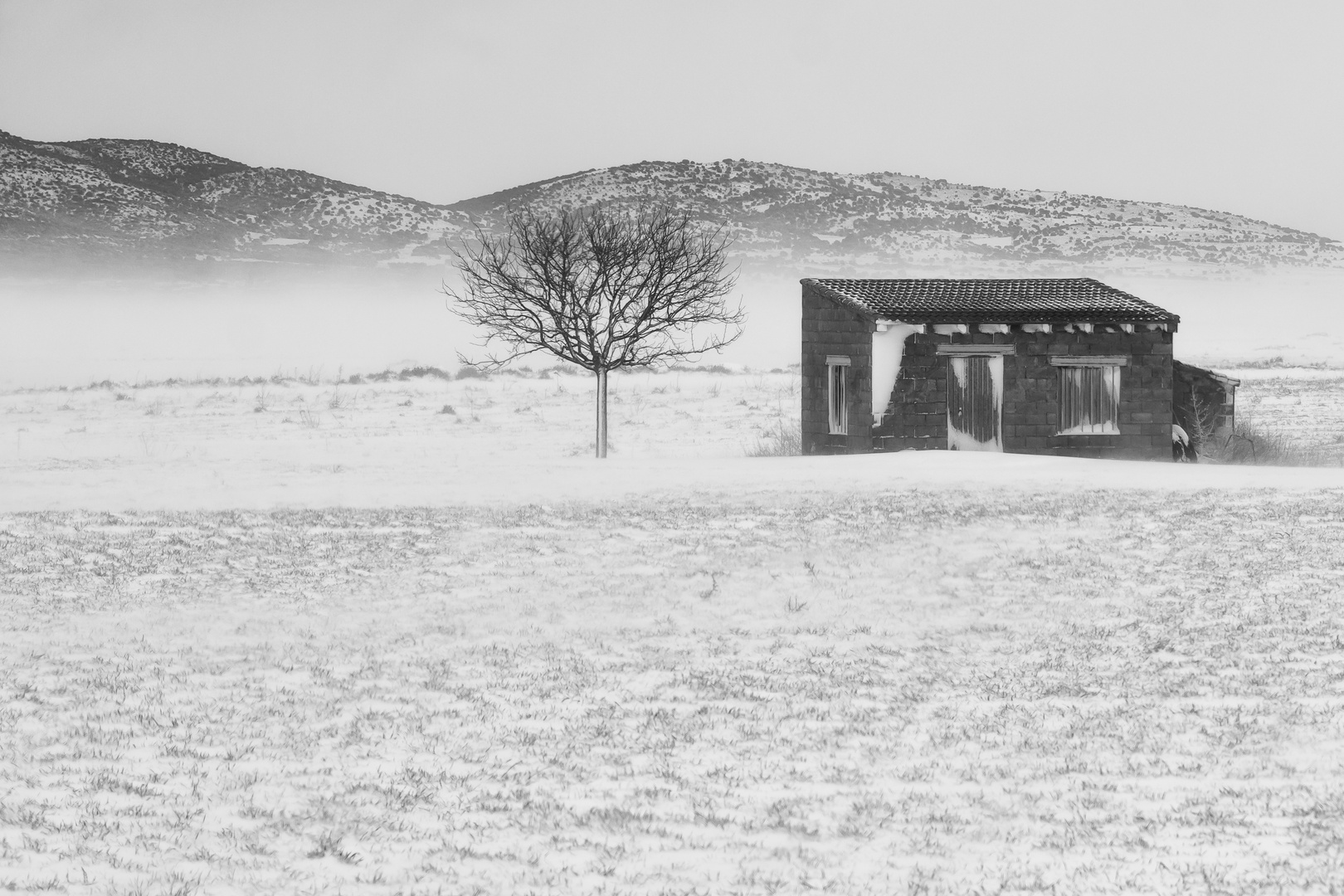 Schneesturm im März