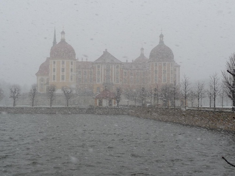 Schneesturm in Moritzburg bei Dresden