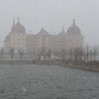 Schneesturm in Moritzburg bei Dresden