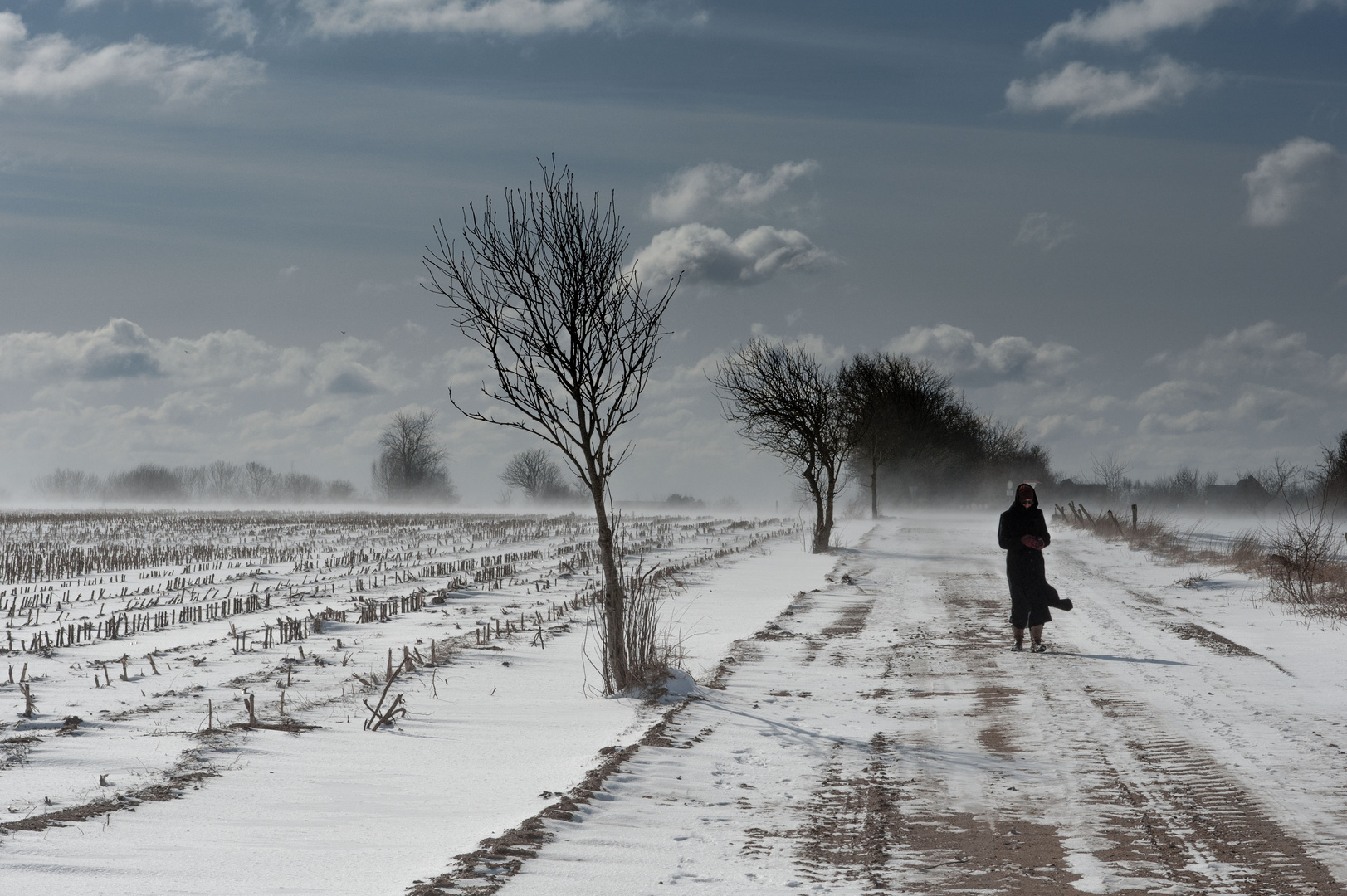 Schneesturm in NF