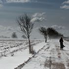 Schneesturm in NF