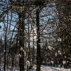 Schneesturm selbstgemacht